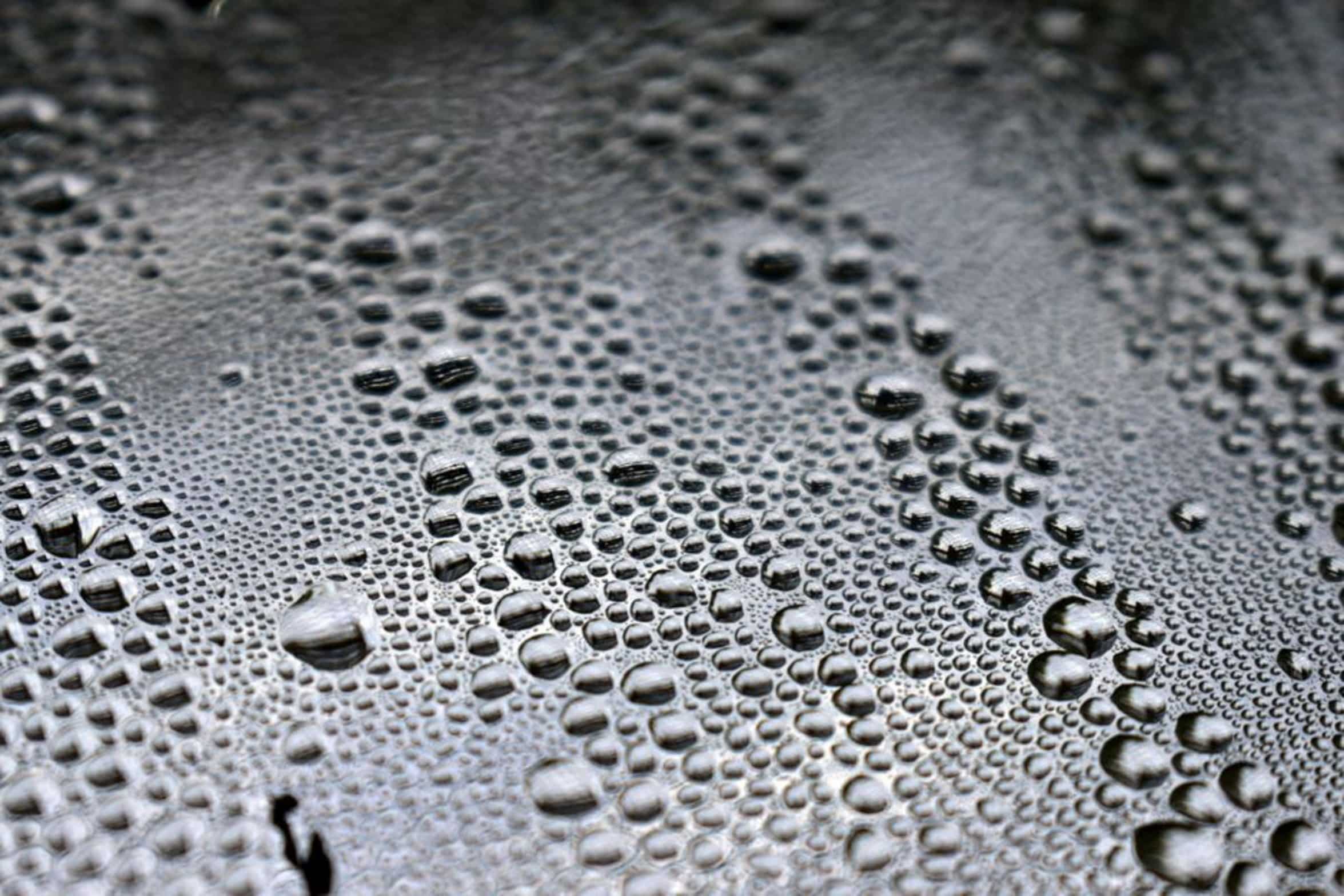 condensation on air hose condensation on air hose