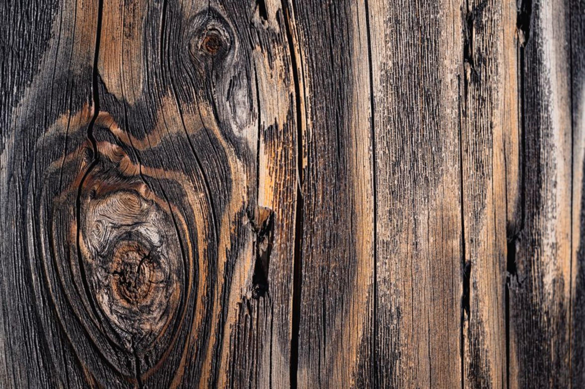 hardwood grain texture close up hardwood grain texture close up