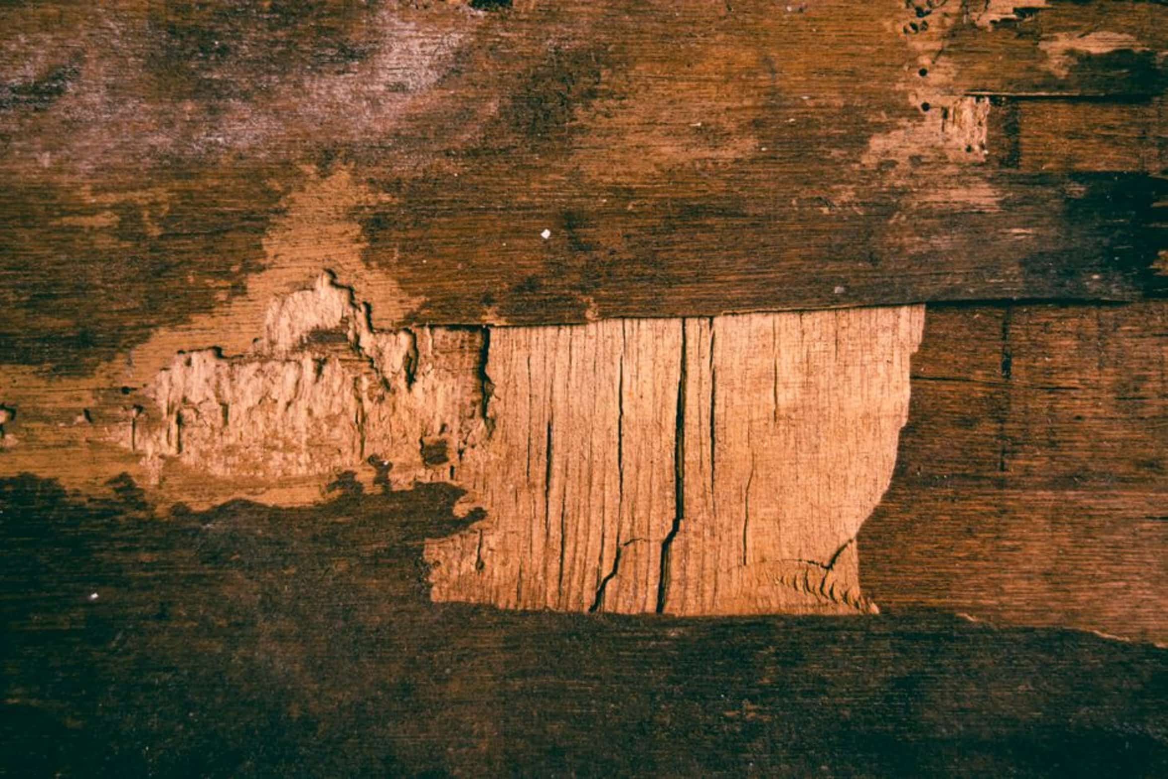 hardwood lumber grain hardwood lumber grain