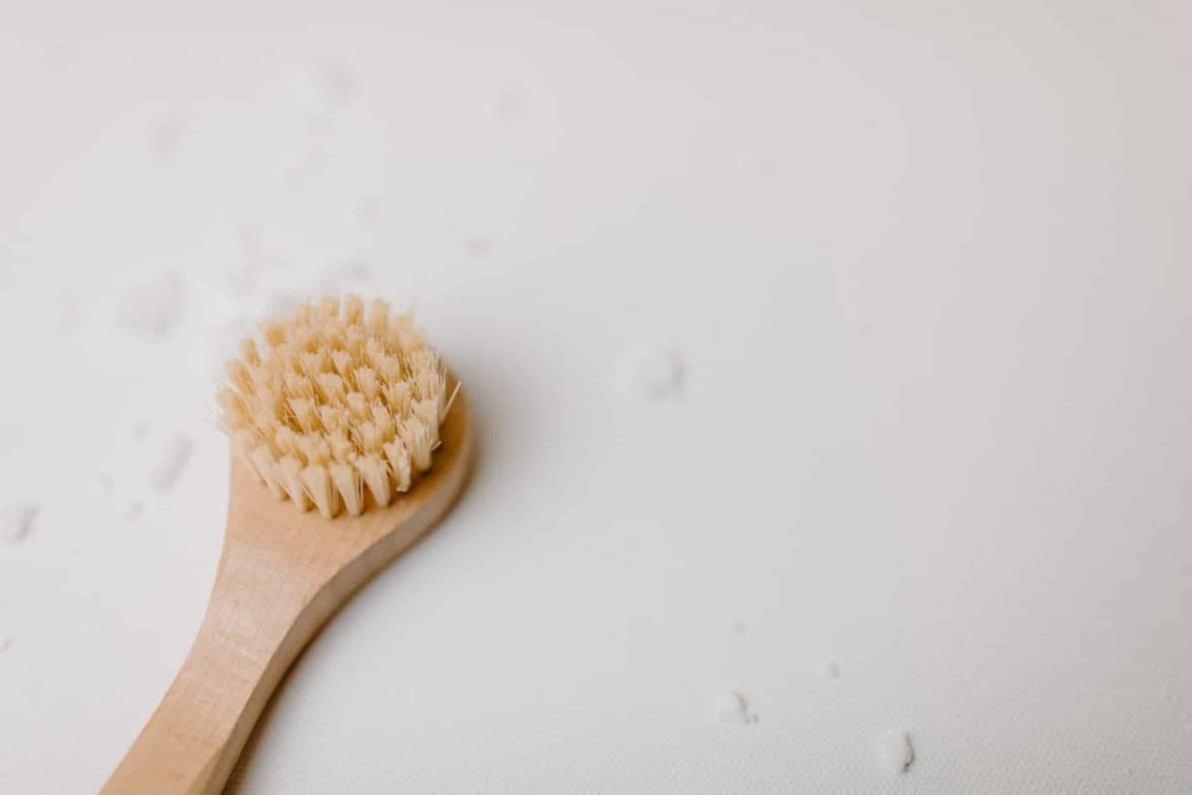 soft bristle brush soft bristle brush
