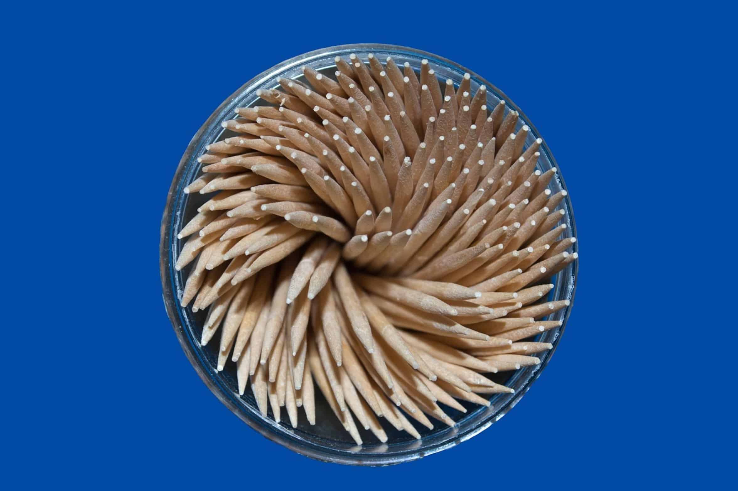 wooden toothpick cleaning tool wooden toothpick cleaning tool